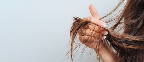 Tørt hår og skadet hår – ApoPro.dk guider dig